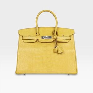Hermès - Birkin 35 - Mimosa Matte Alligator